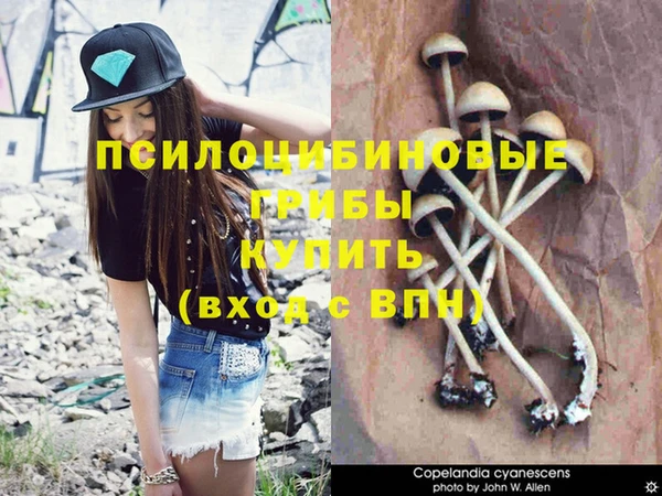 тгк Алзамай