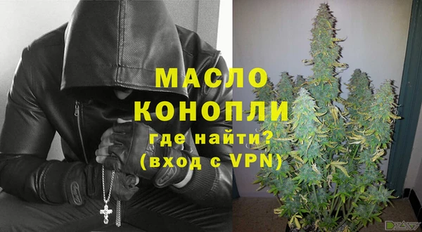 ешки Новодвинск