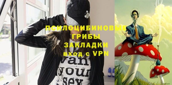 тгк Алзамай