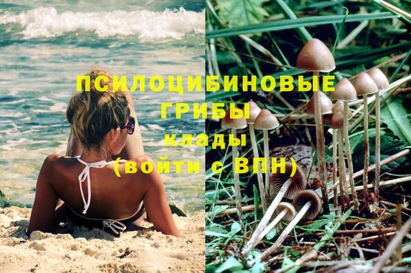 тгк Алзамай