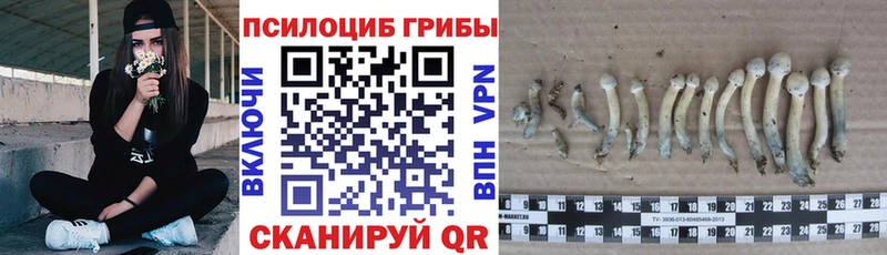Псилоцибиновые грибы Magic Shrooms нарко площадка какой сайт Нижние Серги hydra маркетплейс